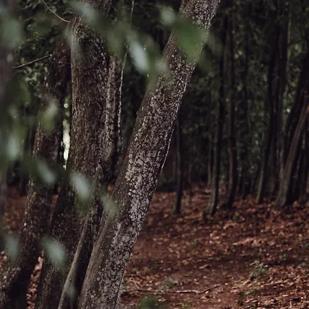 Дом отдыха Ecological Farm Makrobios Panonija