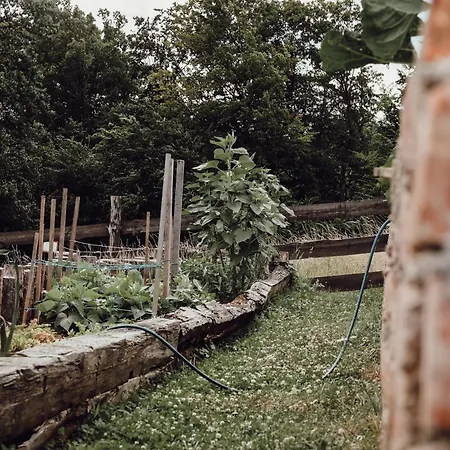 Ecological Farm Makrobios Panonija * Gornji Petrovci