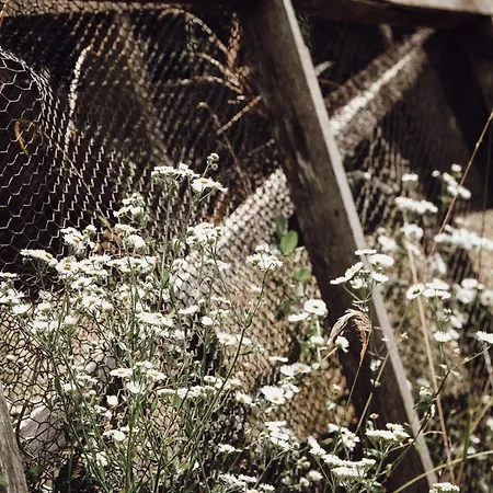 Дом отдыха Ecological Farm Makrobios Panonija *