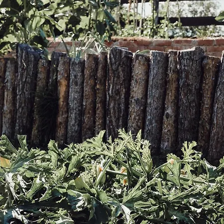 Ecological Farm Makrobios Panonija Holiday home *