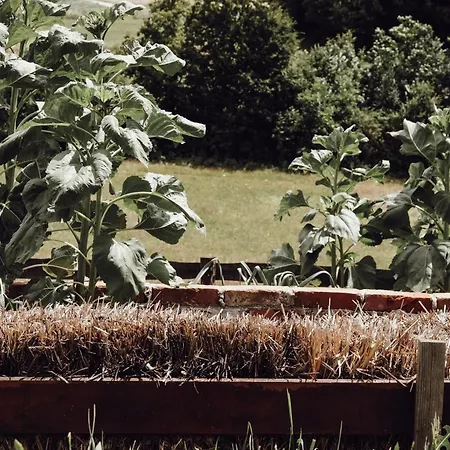 Дом отдыха Ecological Farm Makrobios Panonija