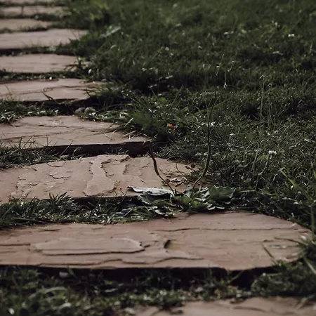 Hébergement de vacances Ecological Farm Makrobios Panonija Gornji Petrovci