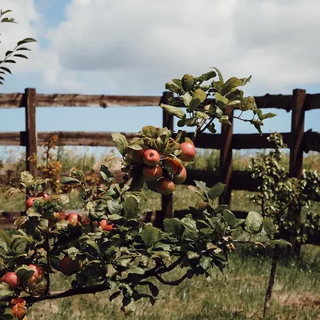 Ecological Farm Makrobios Panonija * Gornji Petrovci
