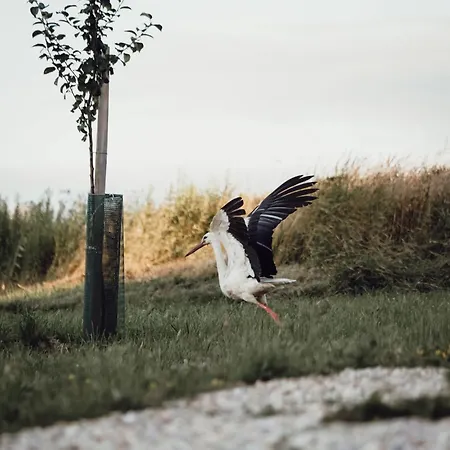 Ecological Farm Makrobios Panonija * Gornji Petrovci