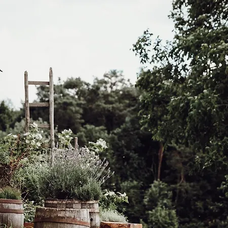 Ecological Farm Makrobios Panonija