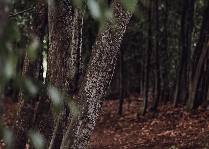 別荘 Ecological Farm Makrobios Panonija