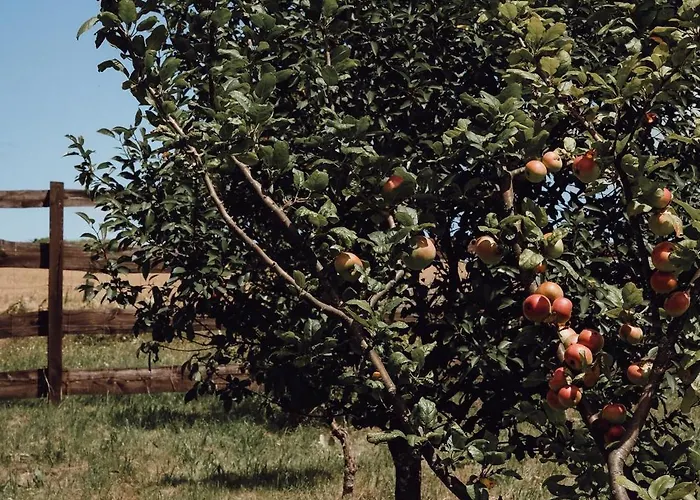 Ecological Farm Makrobios Panonija Ferienhaus *