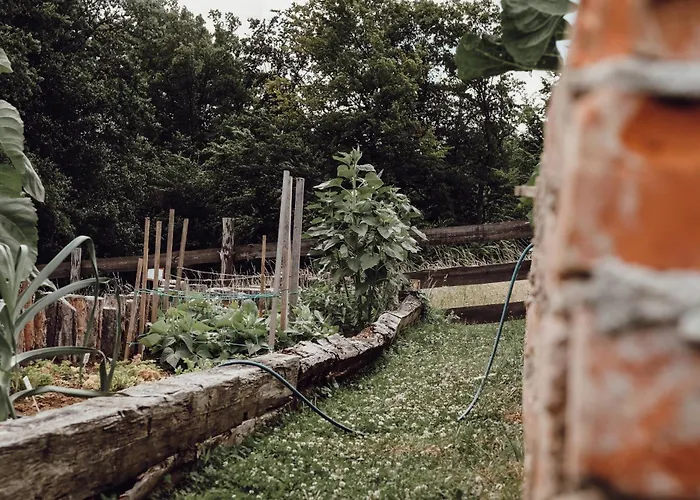 Ecological Farm Makrobios Panonija * Gornji Petrovci