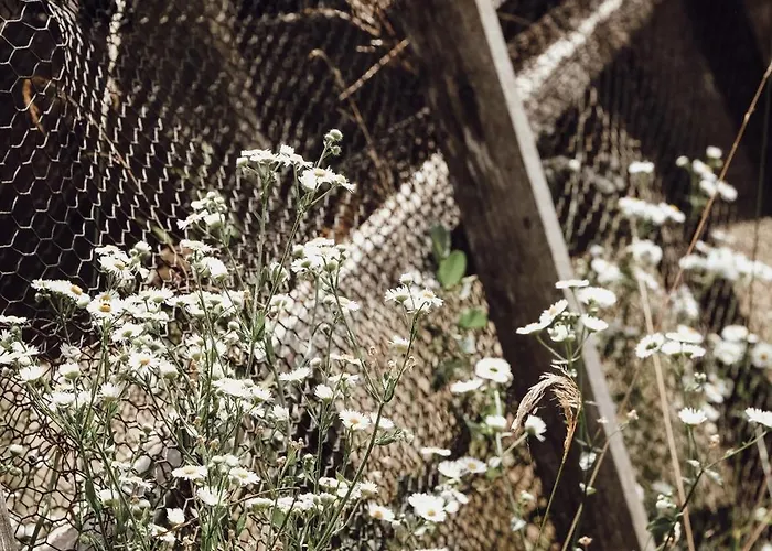 Ferienhaus Ecological Farm Makrobios Panonija *