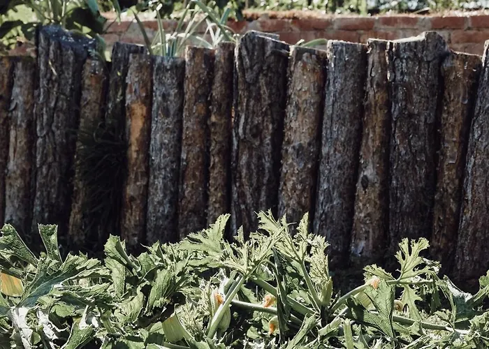 Ecological Farm Makrobios Panonija Ferienhaus *