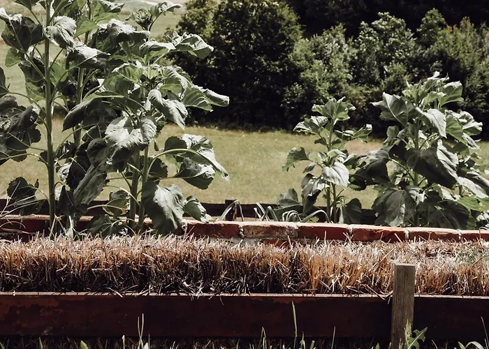 別荘 Ecological Farm Makrobios Panonija