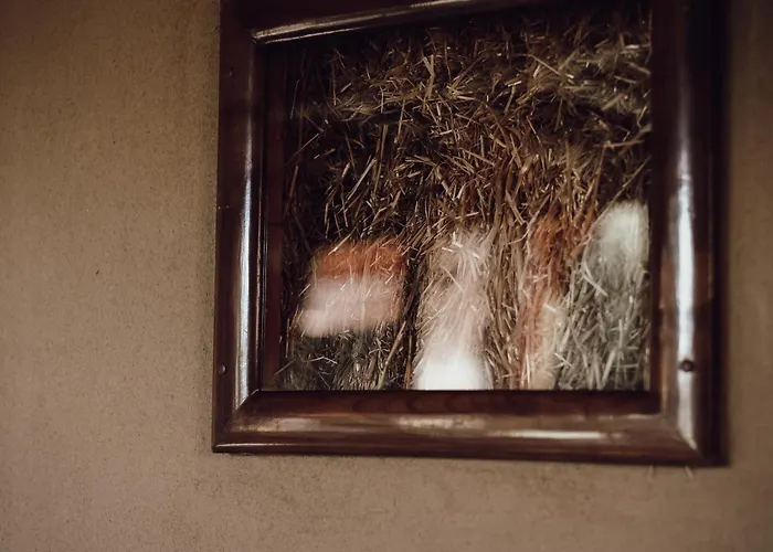 Ecological Farm Makrobios Panonija Gornji Petrovci