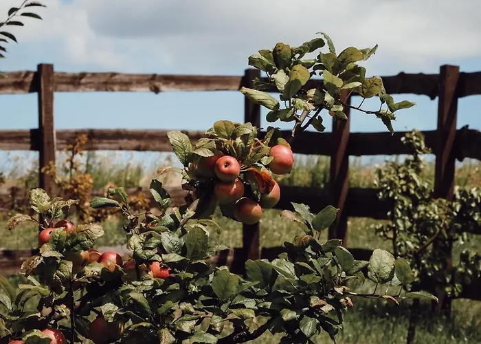 Ecological Farm Makrobios Panonija * Gornji Petrovci