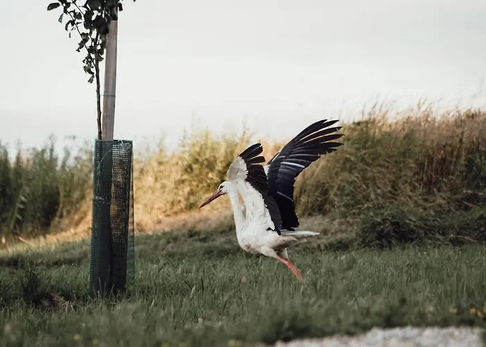 Ecological Farm Makrobios Panonija * Gornji Petrovci